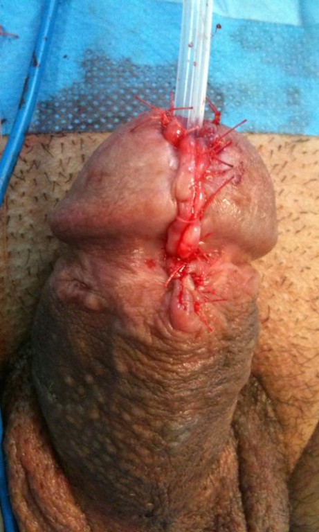Imagen Galería: 